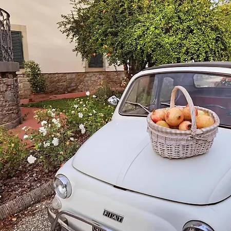 & Cortona